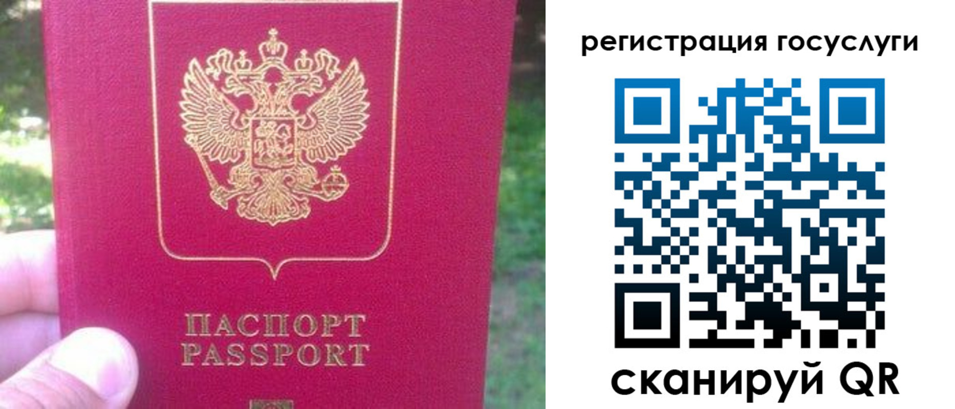 временная прописка в Курганинске